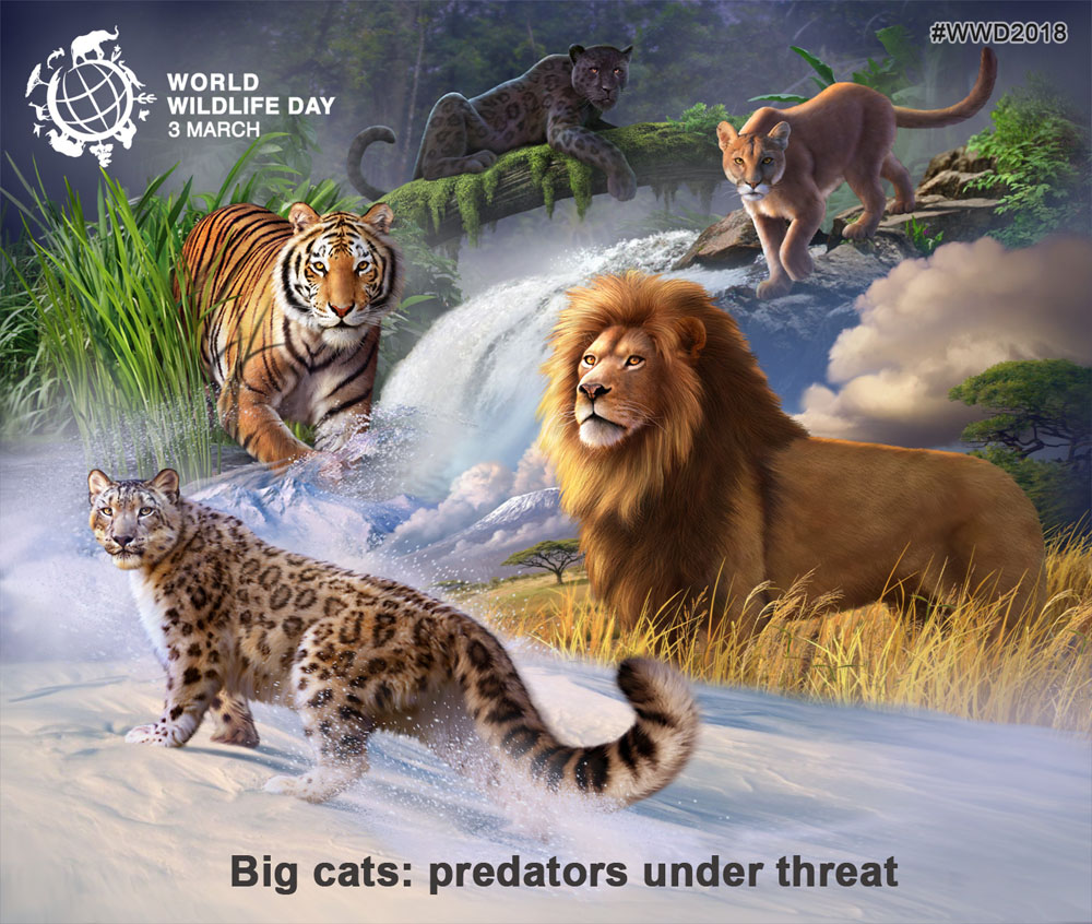 World Wildlife Day 2018: Big cats - predators under threat