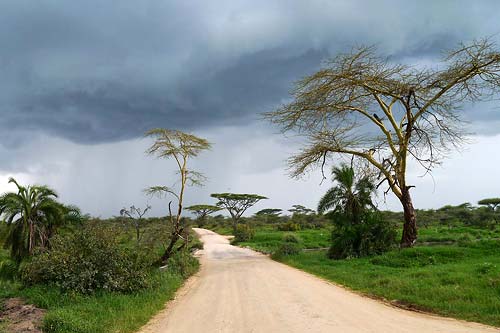  Aufziehendes Gewitter in der Serengeti
