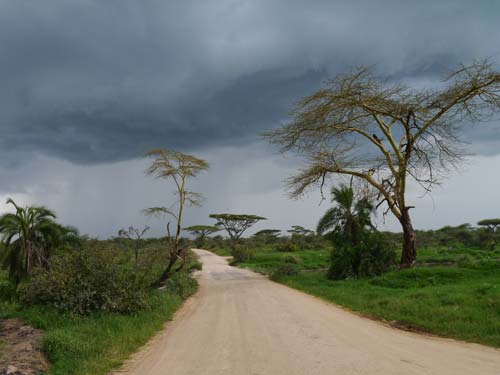 Aufziehendes Gewitter in der Serengeti