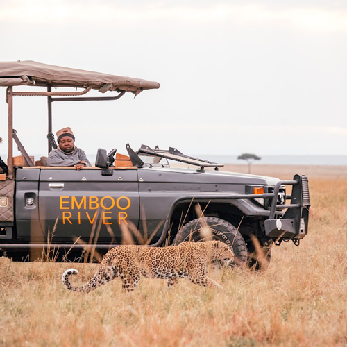 Emboo River Leopard Electric Safari Vehicle August 2021 © Sasha Juliard/ Emboo River Camp