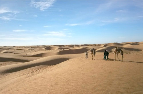 Mit seinen schroffen Felshügeln und endlosen Sanddünen hat das Adrar-Plateau in Mauretanien die Fantansie zahlloser Abenteurer beflügelt. So auch die des Franzosen Théodore Monod – Programmhinweis auf Arte