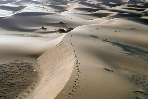 Afrika von oben – Marokko – Programmhinweis auf Arte © Ashley Meneely - Die Sahara ist mit mehr als neun Millionen Quadratkilometern fast so groß wie Europa.